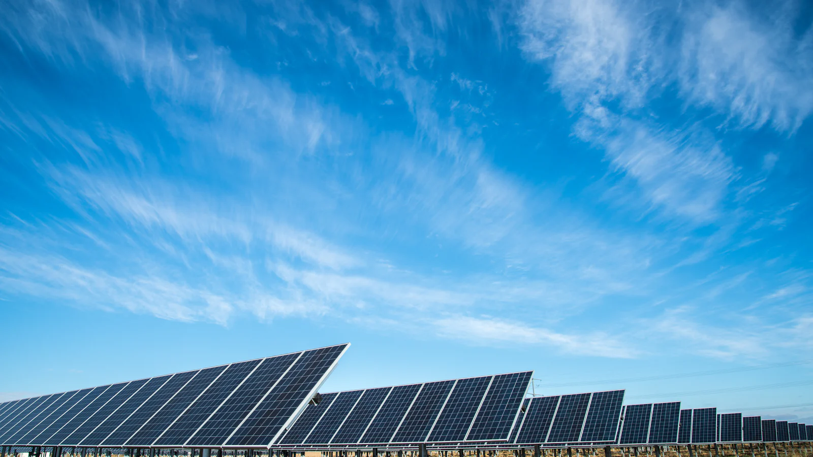 Solar tracker array under a blue sky